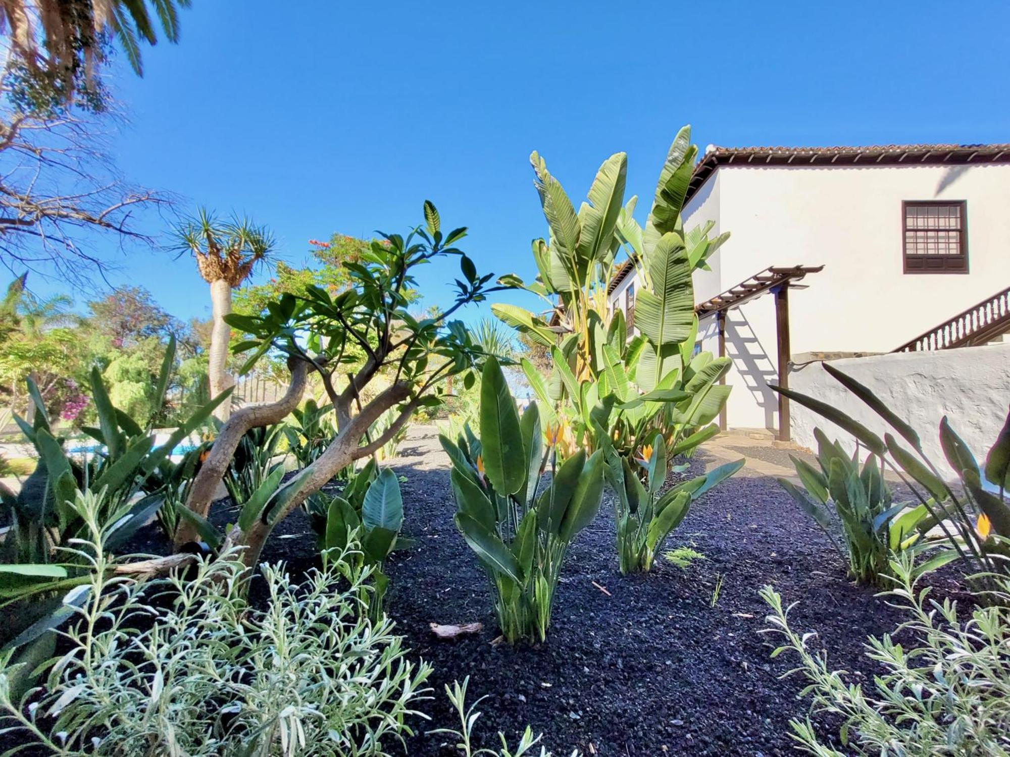 Appartamento Hacienda La Vizcaina La Orotava Esterno foto